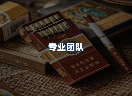 专业团队